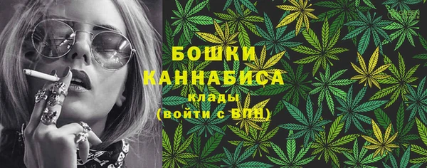 прущие грибы Аркадак
