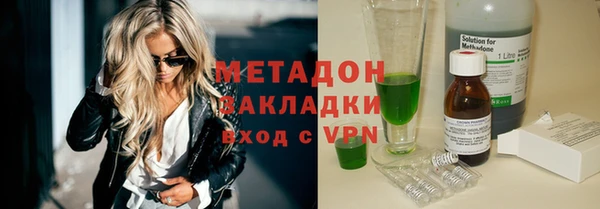 прущие грибы Аркадак