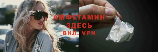 прущие грибы Аркадак