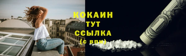 прущие грибы Аркадак