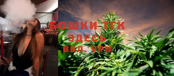 прущие грибы Аркадак