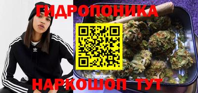 прущие крисы Волжск