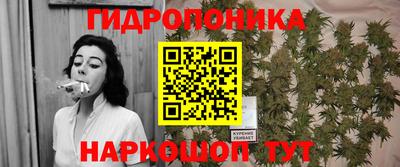 прущие крисы Волжск