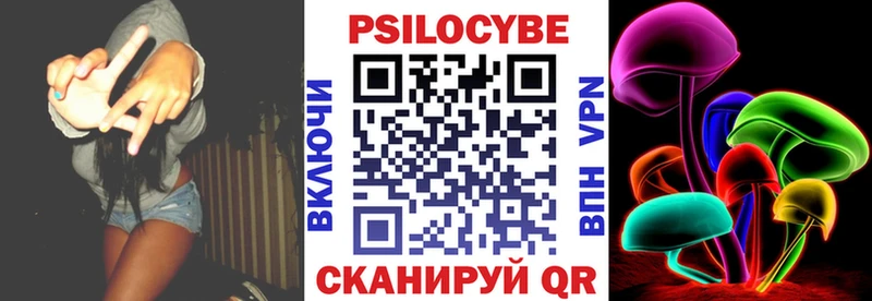Галлюциногенные грибы Psilocybe наркотики Зима