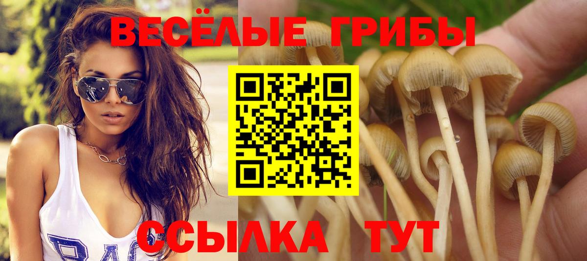 Галлюциногенные грибы мухоморы  Вход с VPN  Зима 