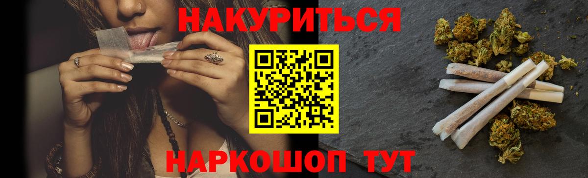 Конопля сатива Зима